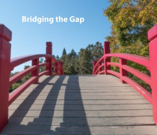 Bridging the Gap book cover