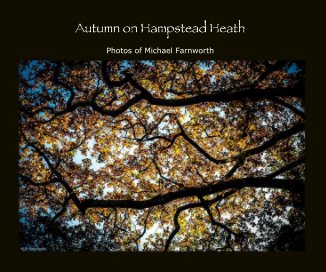 Autumn on Hampstead Heath book cover