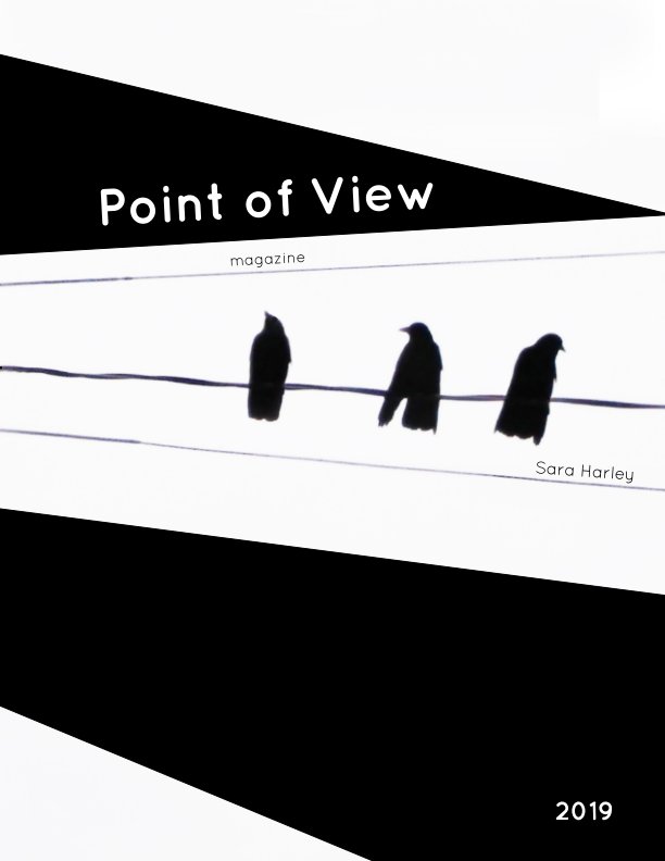 View Point of View 2019 by Sara Harley