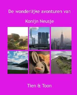 De wonderlijke avonturen van Konijn Neusje book cover