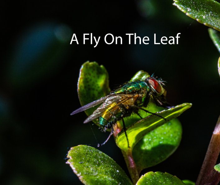 A Fly On The Leaf nach Scott Sax anzeigen