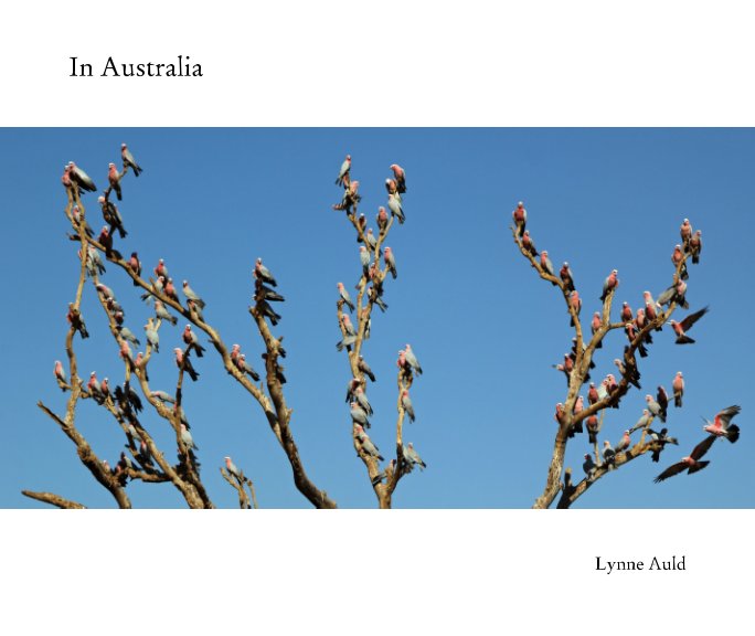Ver In Australia por Lynne Auld