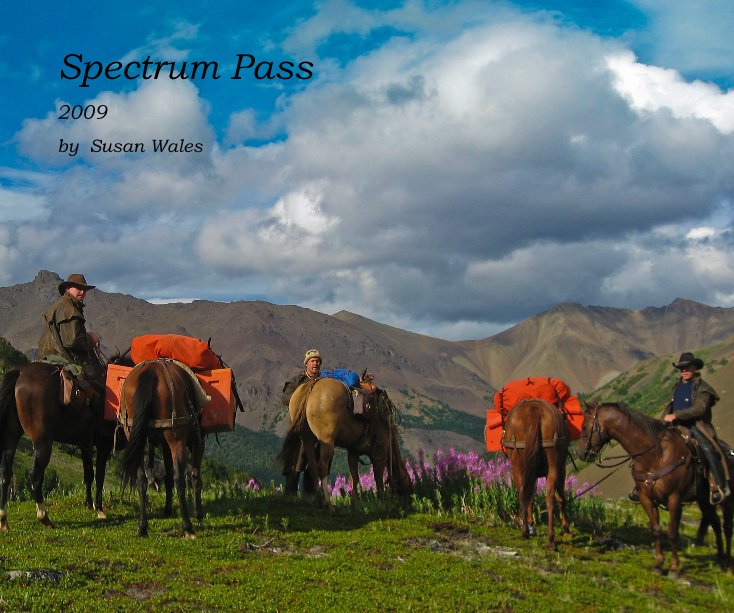 View Spectrum Pass by Susan Wales