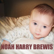 Noah Harry Brewis book cover