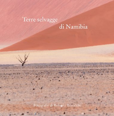 Terre selvagge di Namibia book cover