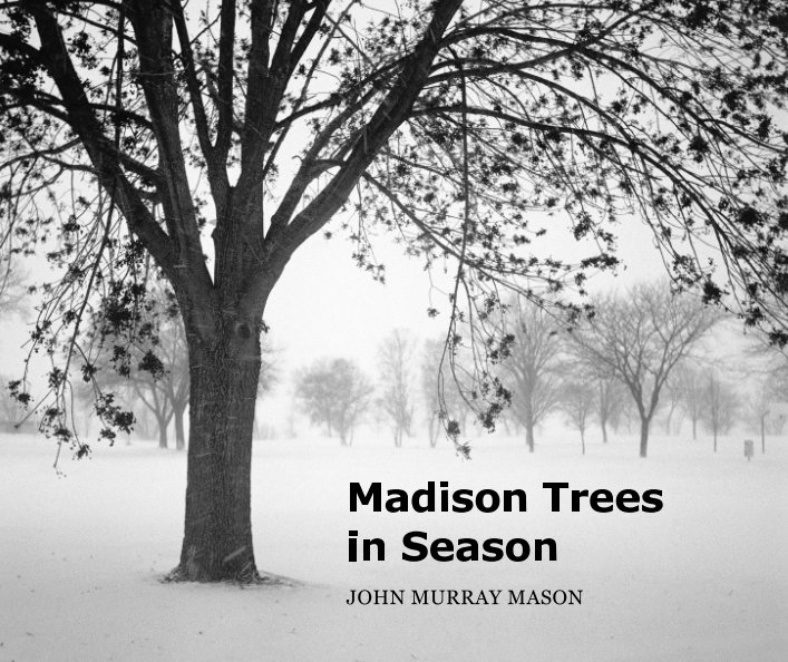 View Madison Trees in Season by John Murray Mason