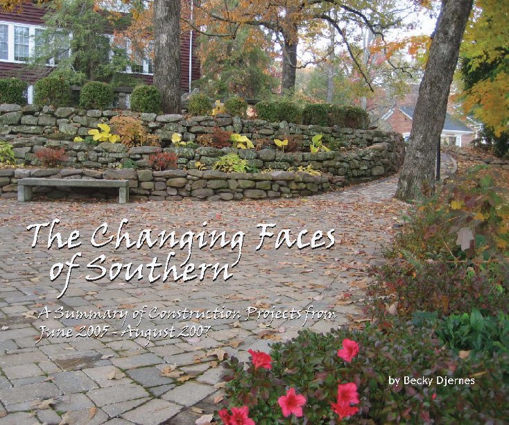 View The Changing Faces of Southern by Becky Djernes