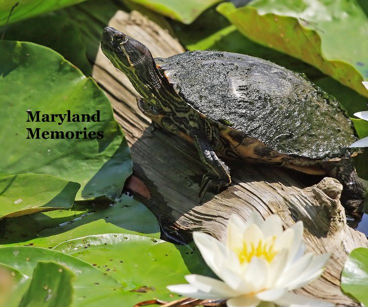 View Maryland Memories by Jim Goetz