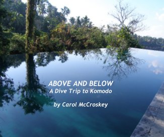 ABOVE AND BELOW A Dive Trip to Komodo by Carol McCroskey book cover