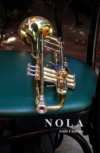 View NOLA by Amie Charney
