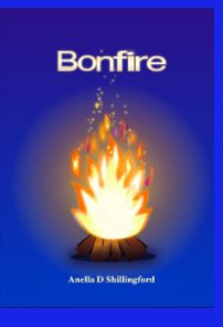 Bonfire book cover