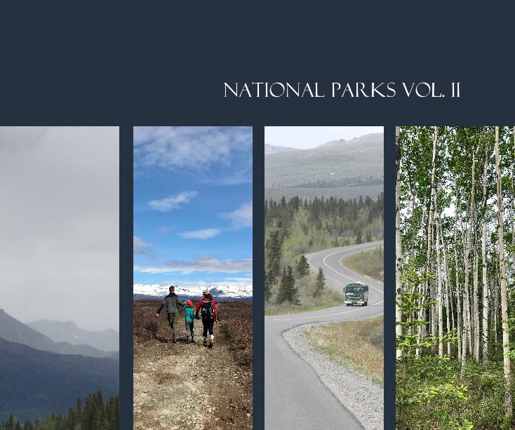 View National Parks Vol. II by Designed By Carrie Pauly