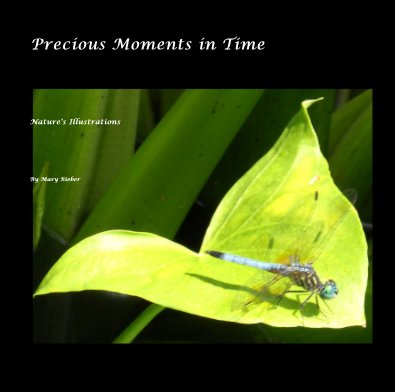 Precious Moments in Time book cover