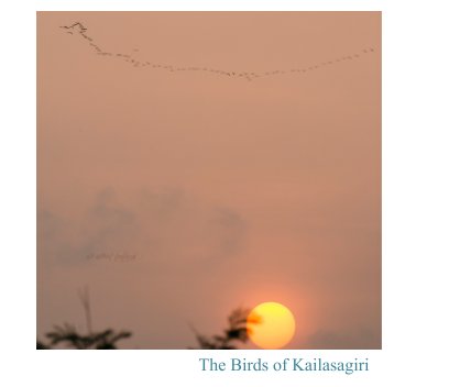 The Birds of Kailasagiri book cover