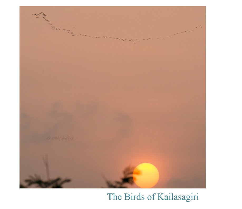 The Birds of Kailasagiri nach Dr Ashok Kolluru anzeigen