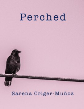 Perched book cover