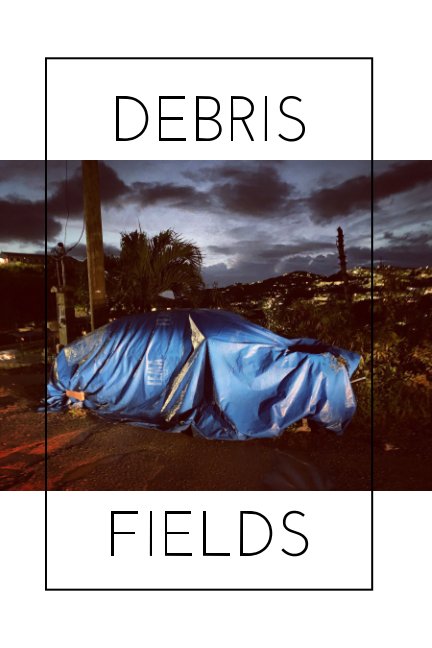 Visualizza Debris Fields Show Catalog di Mike Walsh