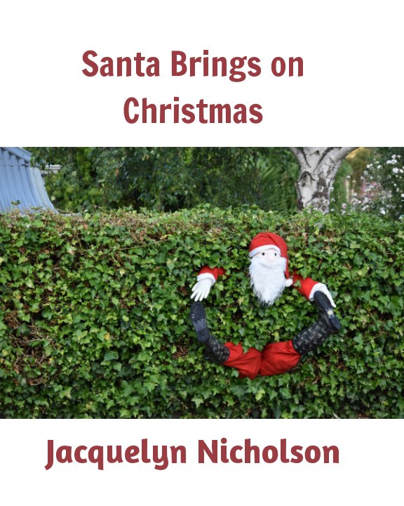 View Santa brings on Christmas by Jacquelyn Nicholson
