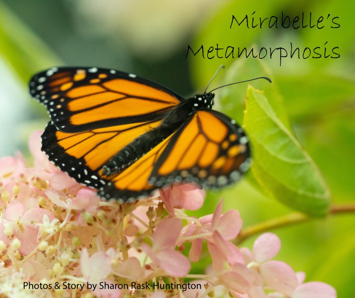 Ver Mirabelle's Metamorphosis por Sharon Rask-Huntington