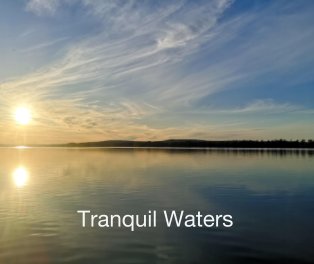 Tranquil Waters book cover