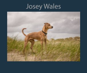 Josey book cover