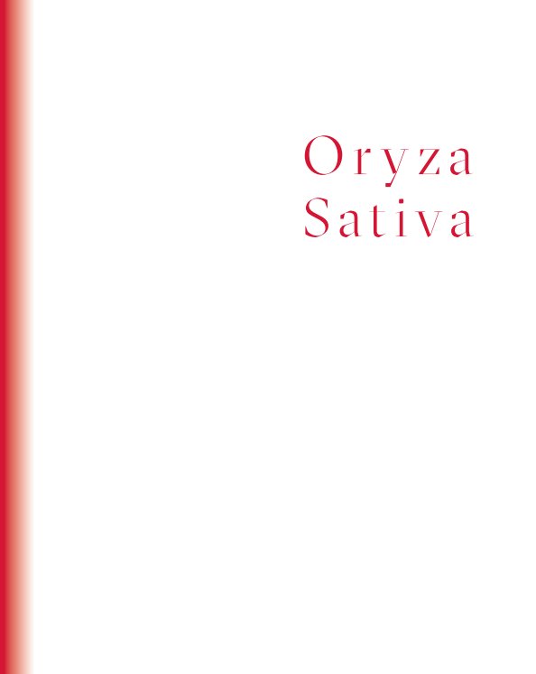 Oryza Sativa nach Evelyn Luu anzeigen