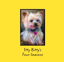 Four Season with Itty Bitty book cover