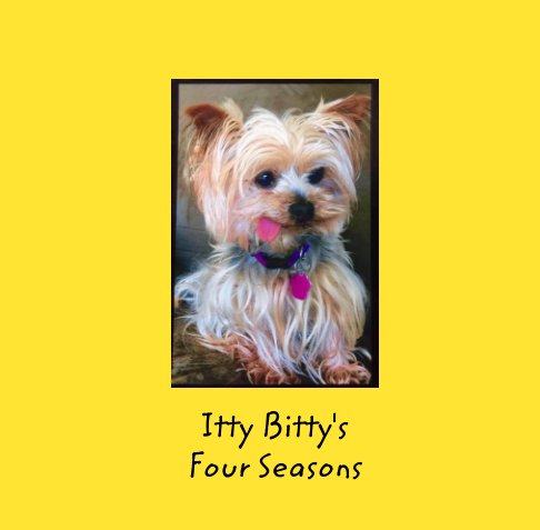 Visualizza Four Season with Itty Bitty di Joe Novo, Artist Manuel Cruz