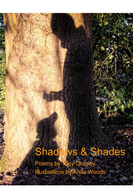 View Shadows and Shades by Anthony Quigley
