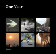 One Year book cover