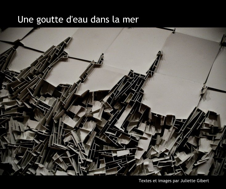 View Une goutte d'eau dans la mer by Juliette Gibert