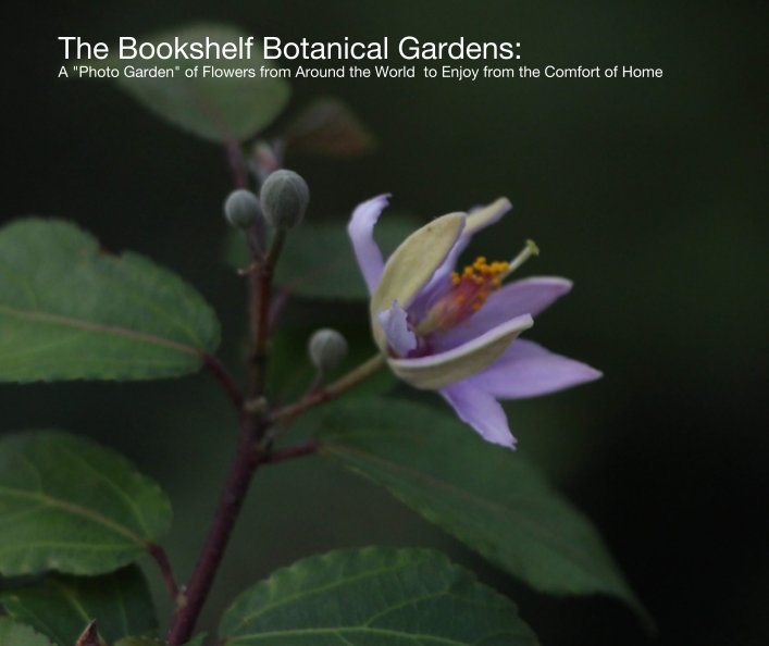 View The Bookshelf Botanical Gardens by Photonotables, Brian Jessup