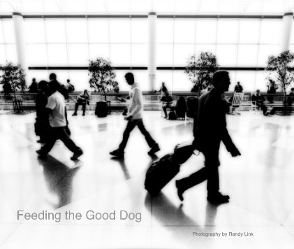 Feeding the Good Dog book cover