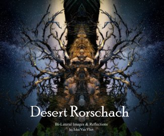 Desert Rorschach book cover