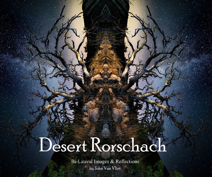 View Desert Rorschach by John Van Vliet