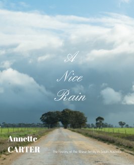 A Nice Rain book cover