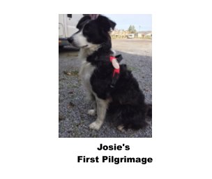 Josie's First Pilgrimage book cover