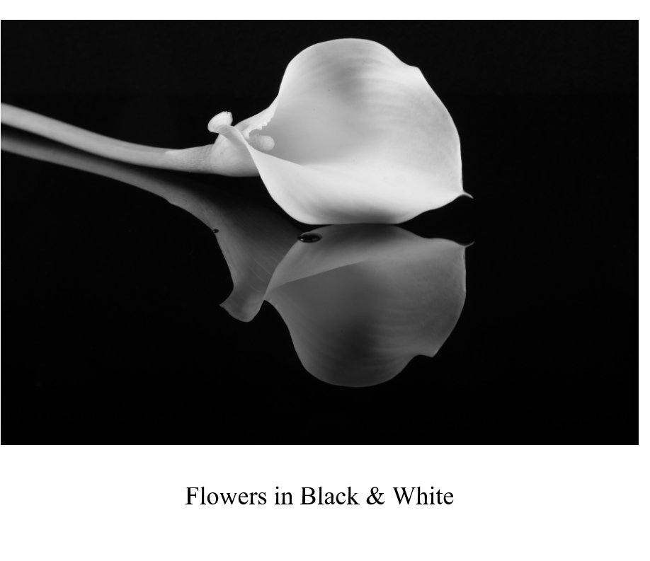 View Flowers in Black and White by Simon Hall