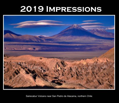 2019 Impressions book cover