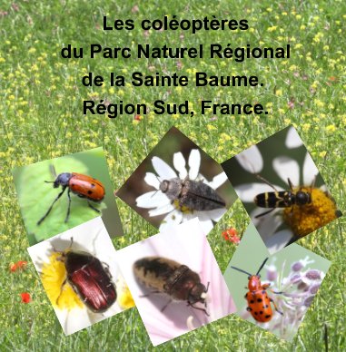 Les Coléoptères du Parc Naturel Régional de la Sainte Baume. Région Sud. France. book cover
