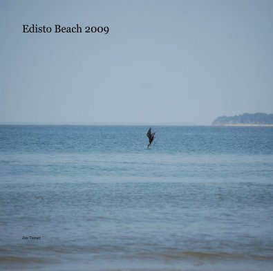 Edisto Beach 2009 book cover