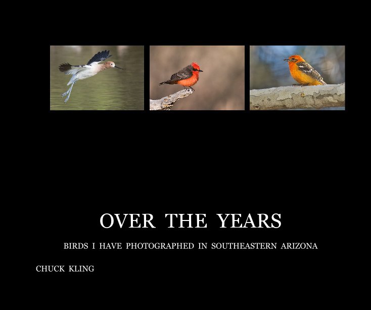 View Over The Years by CHUCK KLING