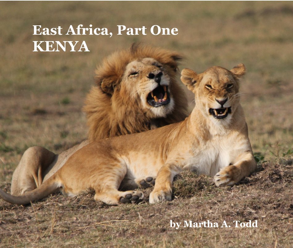 East Africa, Part One KENYA nach Martha A. Todd anzeigen