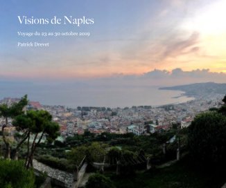 Visions de Naples book cover