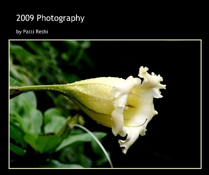 Ver 2009 Photography por PCR