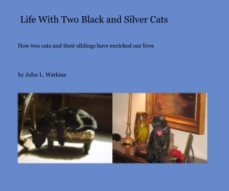 Life With Two Black and Silver Cats book cover