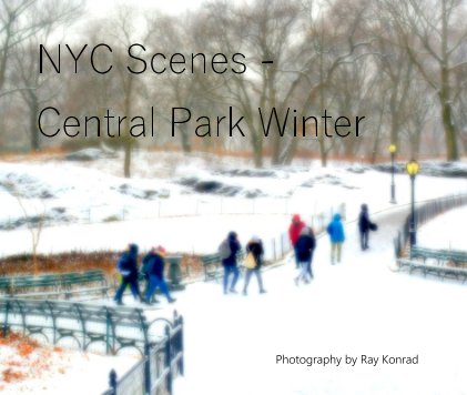 NYC Scenes - Central Park Winter book cover