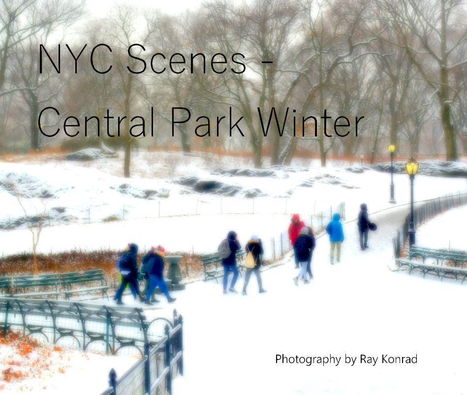 Ver NYC Scenes - Central Park Winter por Ray Konrad