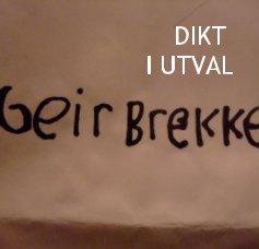 DIKT I UTVAL book cover