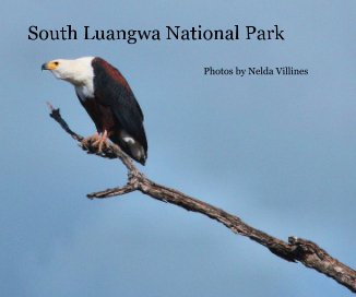 South Luangwa National Park book cover